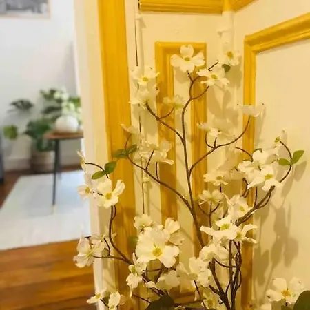 Domus Aurea Apartment